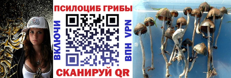 Галлюциногенные грибы мухоморы  Алексеевка 