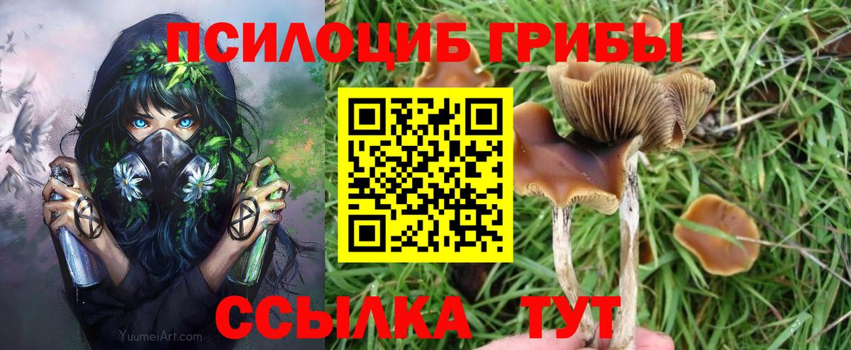 Галлюциногенные грибы MAGIC MUSHROOMS Алексеевка