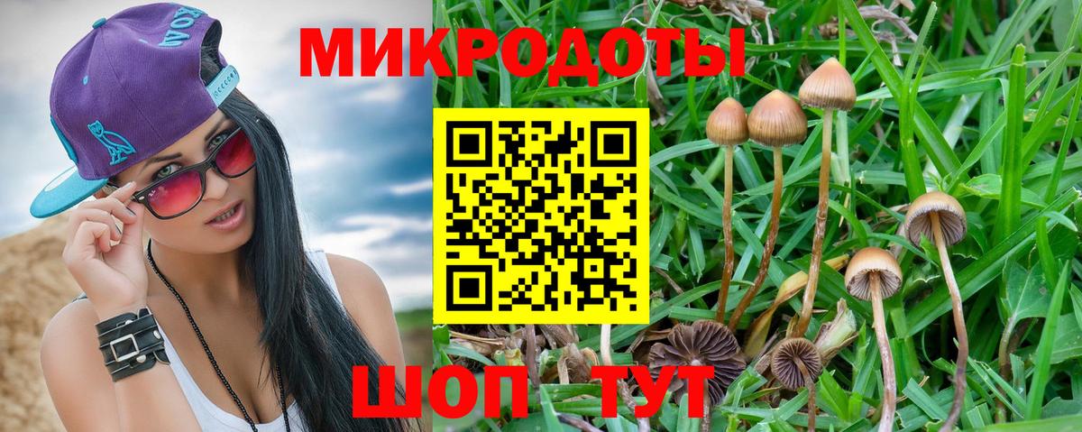 Алексеевка  Галлюциногенные грибы прущие грибы  Вход с VPN 